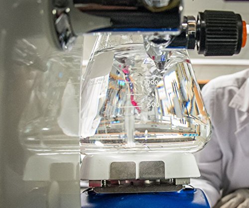 C60 Anti-Aging Face Serum 60ml with Hyaluronic Acid, Plant Stem Cells, Peptides, Vitamins B + C & Anti Aging Wrinkle Complexes for Men & Women Made with Organic Ingredients