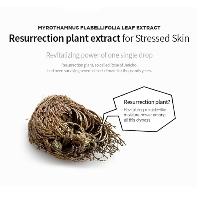 I'M SORRY FOR MY SKIN Jelly Face Mask Korean Skin Care, Hydrating Face Masks Skincare Set, Self Care Items for Glow Beauty, Teacher Appreciation Gifts for Women, Pack of 10 (Cooling SOS Soothing Mask)