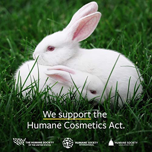 US Organic 100% Genuine Myrrh Essential Oil - Sourced from The Horn of Africa, USDA Certified Organic, Extracted by Hydro-Distillation (Myrrh, 10 ml)