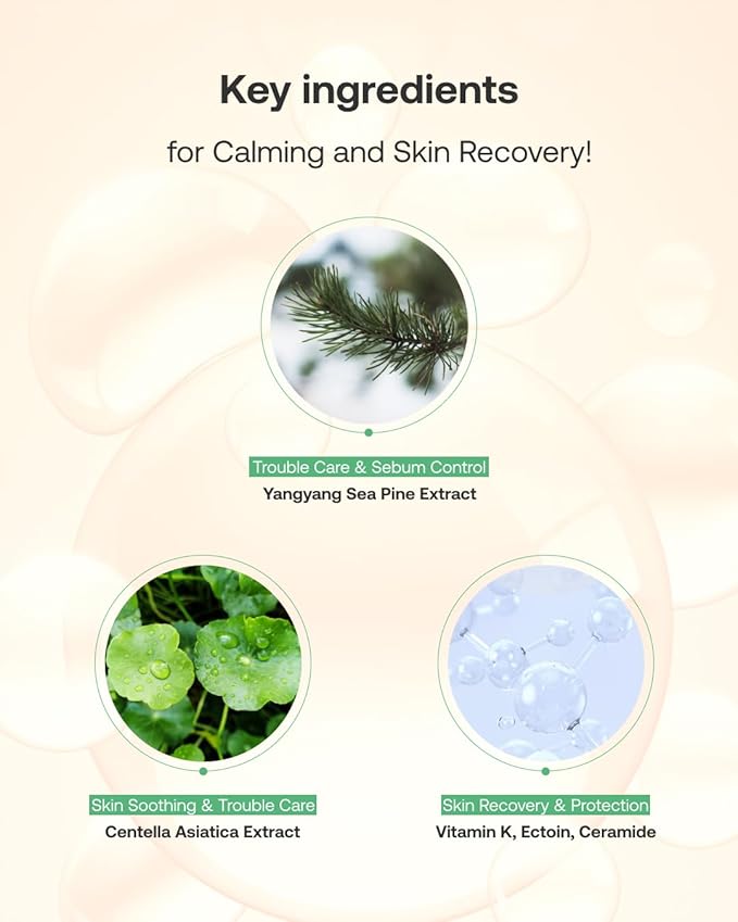 Yangyang Pine Quick Calming Spot Patch 12 Patches, Hyaluronic Acid Soothing Deep Shot, Blemish Relief, Pimples Care, Ultra-Thin Hydrocolloid Patch, Non-Irritating Acne Treatment