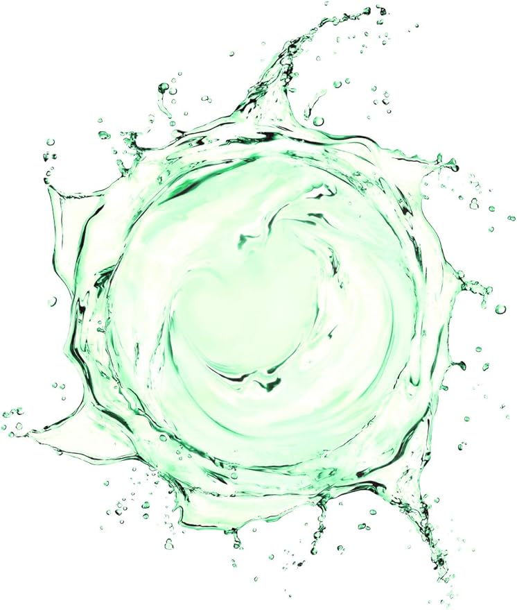 RAYA Camphor Astringent (204) - Facial Toner for Oily and Break-Out Skin, Dries Up Blemishes and Controls Excessive Oiliness, Made with Camphor and Eucalyptus, Skin Essence for Acne Prone Skin, 8 oz