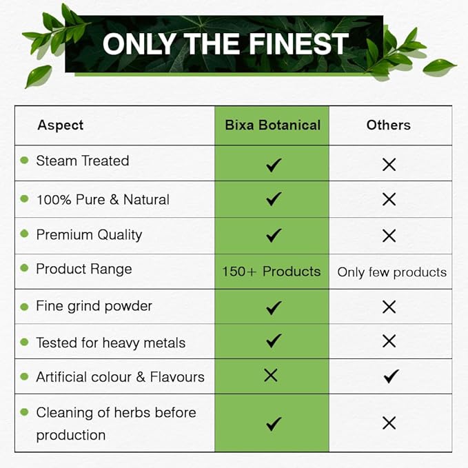 bixa Botanical | Greater Galangal Root Powder | Alpinia Galanga Kulinjan | For Soups and Cooking | Ayurvedic Herbal Supplement | Kosher | Steam Treated | Non GMO | Vegan | 100 Percent Pure |7 oz 200 g