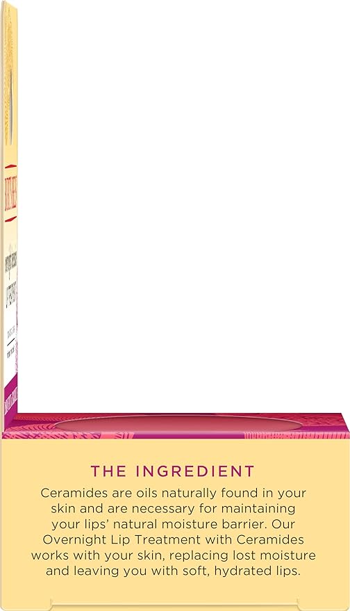 Burt's Bees Overnight Lip Sleeping Mask,