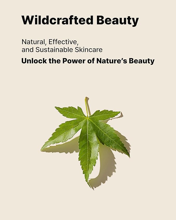 MAY COOP Moisture Essence Toner – Korean Hydrating & Nourishing Skincare for Dry Sensitive Skin with Wildcrafted Centella Asiatica, Rice Water & Birch Bark – Fast-Absorbing Texture – 1.35 fl. oz.