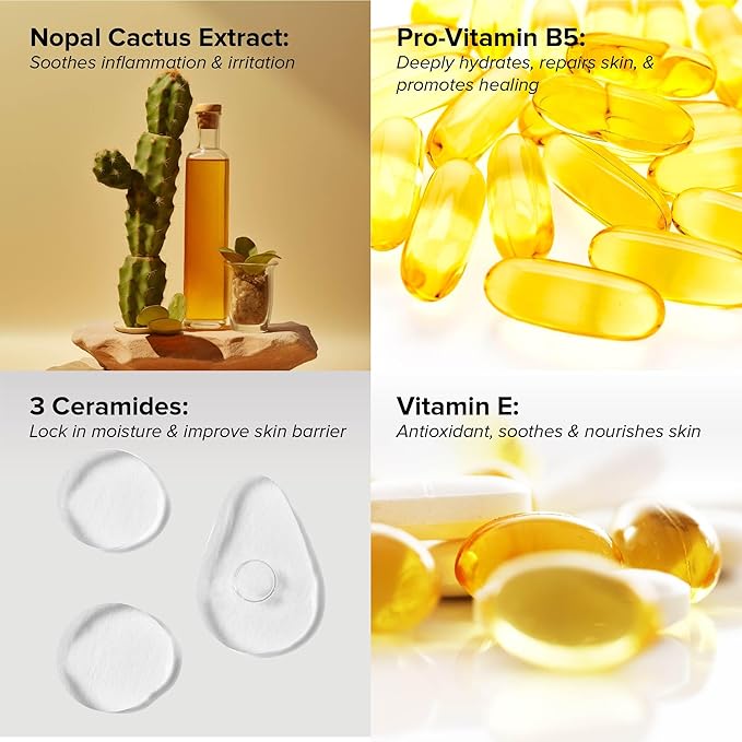 DRMTLGY Soothe and Recovery Cream Face Moisturizer. Fragrance Free, Oil Free, Noncomedogenic Face Cream for Sensitive Skin and All Skin Types.