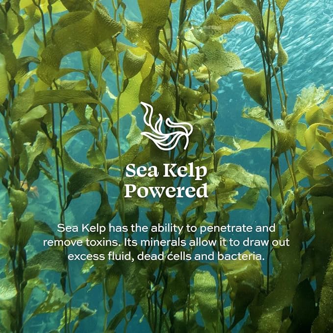 Aleavia Travel Size Purifying Facial Cleanse – Fragrance-Free Organic & All-Natural Prebiotic, Vegan Face Wash – Nourish your Healthy Skin Microbiome – 2 oz. (New Formula)