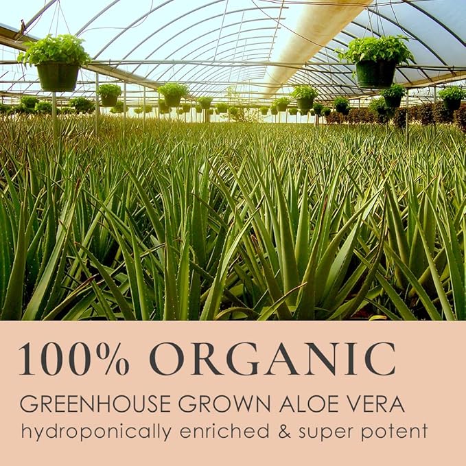 Gunilla Herbal Face Wash & Balancing Toner Bundle