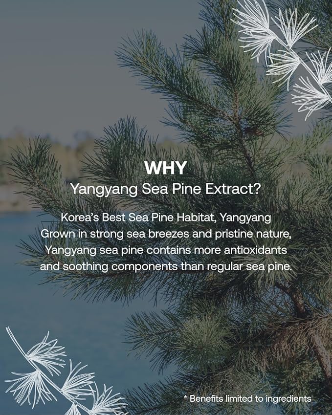 Yangyang Pine Quick Calming Spot Patch 12 Patches, Hyaluronic Acid Soothing Deep Shot, Blemish Relief, Pimples Care, Ultra-Thin Hydrocolloid Patch, Non-Irritating Acne Treatment