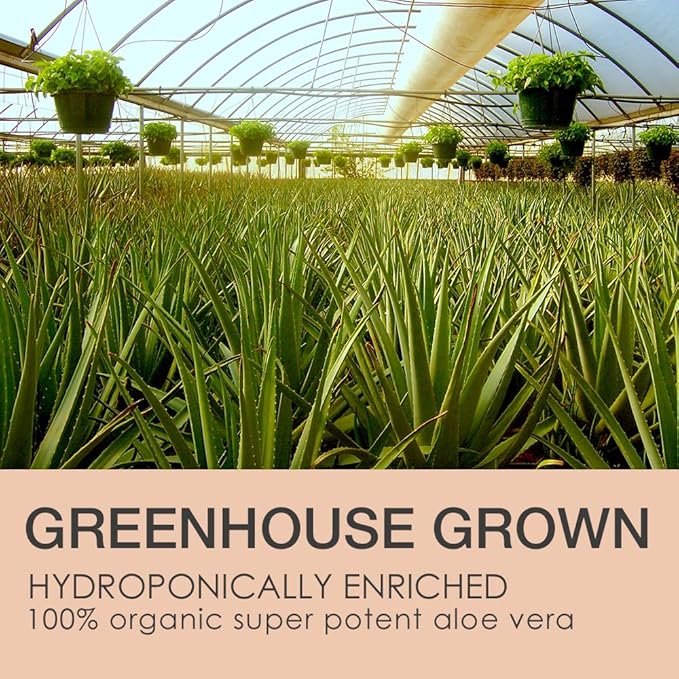 Gunilla Of Sweden LEROSETT Clear Skin Face Wash & Pore Toner Bundle