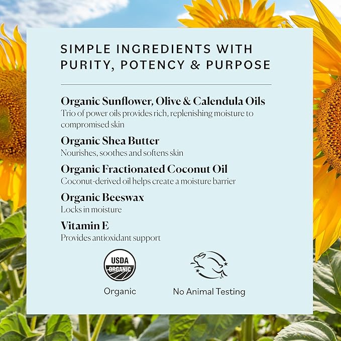 Sky Organics Organic Petroleum-free Jelly, Multi-Purpose Skin Care Balm with Organic Shea Butter, Coconut Oil, Olive Oil & Vitamin E, Moisturizing Lip Balm & Moisturizer for Dry Skin, 2.5 Oz w Ebook