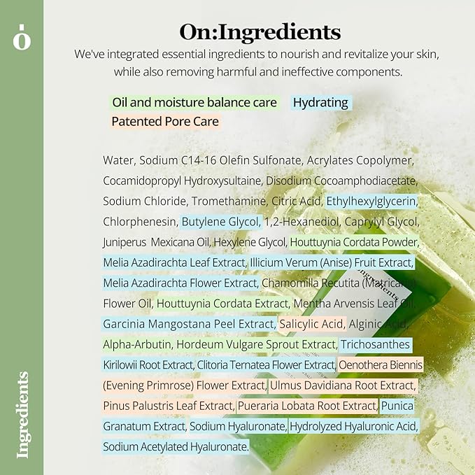 ONGREDIENTS Deep Foaming Cleanser | Daily Soothing Facial Cleanser | Salicylic Acid, Heartleaf, Hyaluronic Acid, Gentle Exfoliation Face Wash for Dry Skin | Vegan, Korean Skin Care 120ml / 4.05 fl Oz