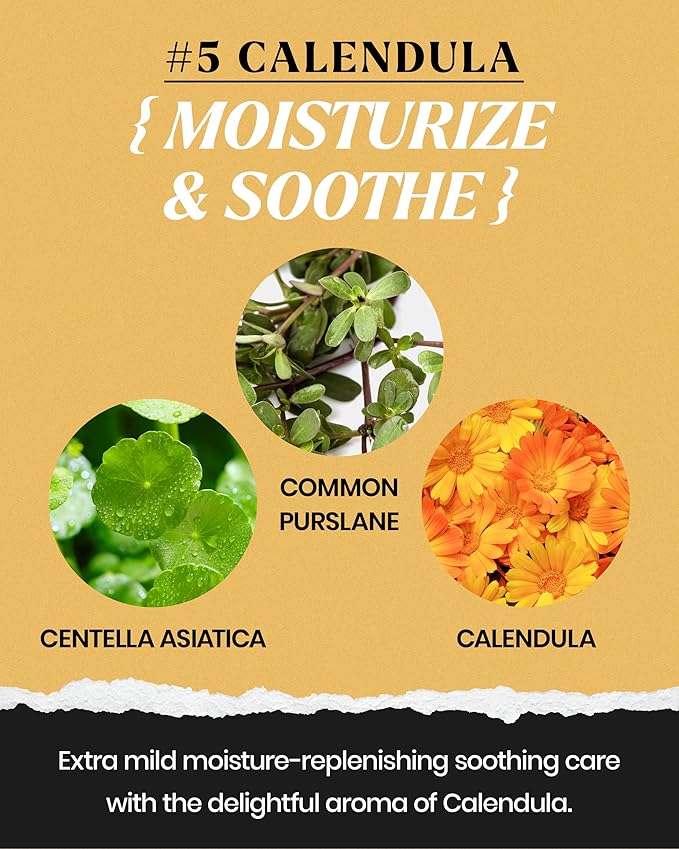 LINDSAY Calendula Modeling Mask Cup Pack - Korean Skin Care Face Mask Modeling Pack – Single-Use Soothing Moisturizing Face Mask w/Spatula Spoon – Spa Facial Peel-off Mask (6 ea, 0.36 lb)