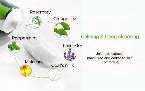 CHARMZONE Ginkgo Natural Cleansing Foam – Hydrating Daily Facial Cleanser | Creamy Botanical Foam for All Skin Types | Korean Skincare for Fresh & Nourished Skin (6.09 fl oz / 180 ml)