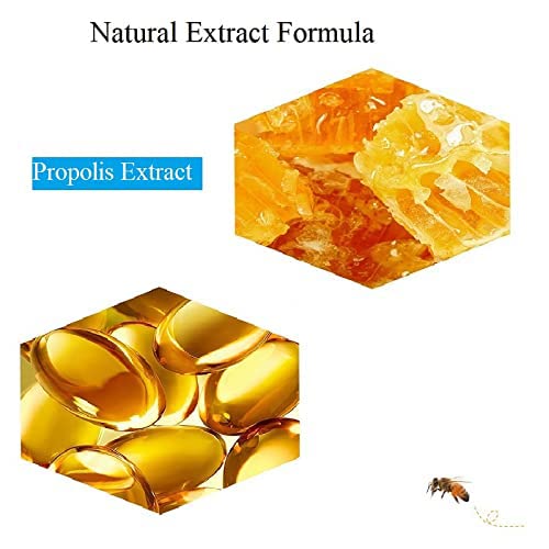 2PCS Lip Balm Honey Pot,Propolis Moisturizing