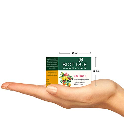 Biotique Bio Fruit Lip Balm, 12 gm
