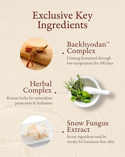 Sooryehan Hyobidam Fermented Travel Kit (Pack of 4) - Herbal korean skincare set with Toner, Emulsion, Cream & Cleansing Foam, featuring Baekhyodan™ & Silver Mushroom. for hydration & elasticity.