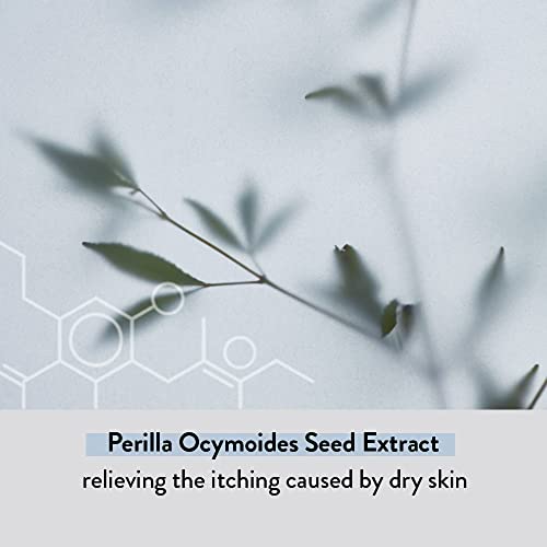 It'S SKIN Glutathione Shot B3 Toner 4.05 Fl Oz, 99% Pure Glutathione, Deep Hydration & Skin Texture Care, Fast-Absorbing for Daily Toner, Korean Skincare