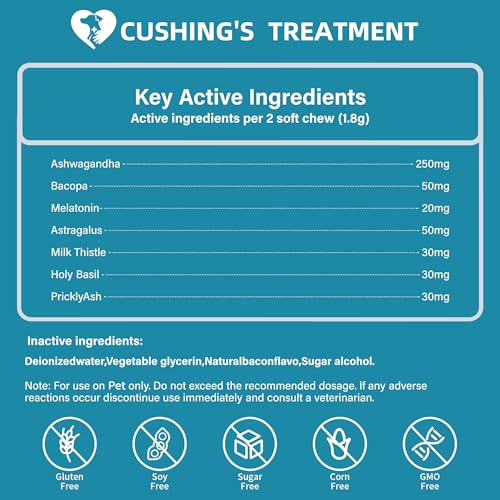 Epielle Complex Hyaluronic Acid + Peptides Serum 3 fl.oz, Deep Hydration and Plumping Formula for Dryness & Fine Lines, Anti-Aging Serum for Face, Korean Skin Care for Glass Skin