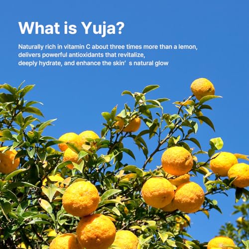 FARMSTAY Citrus Yuja Vitalizing Cream – Vitamin C Facial Moisturizer with Niacinamide for Dry & Sensitive Skin, Skin Barrier Repairing & Wrinkle Care, Korean Skincare, for Women & Men 3.52 oz.