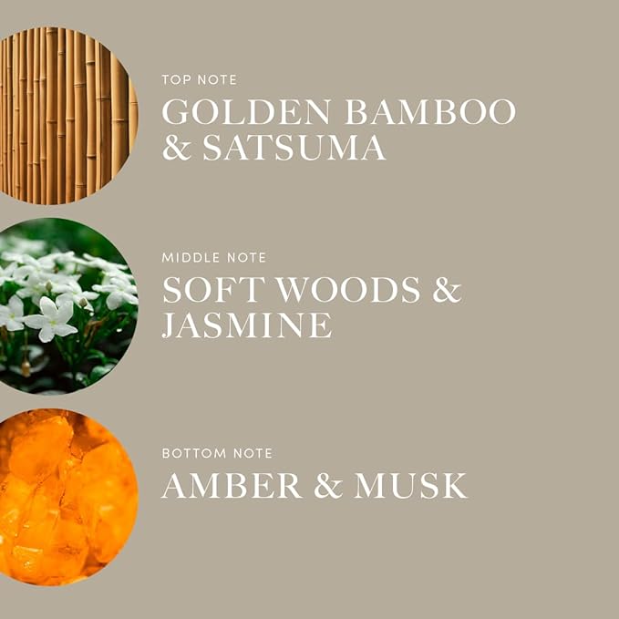 Aroma360 - Eternal Sunshine Pro Pod Fragrance Oil Blend | Hotel Inspired Luxury Essential Oil Diffuser | Aromatherapy Scent Diffuser Oil | Satsuma, Golden Bamboo and Cedar 1.7 fl oz, 50 mL