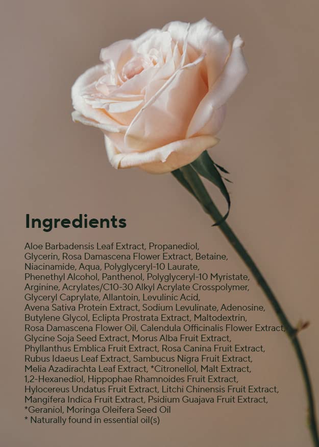AROMATICA Reviving Rose Infusion Serum, Vegan, Vitality, Rejuvenating Hydration Serum for Dry Skin | with Damask Rose Water and Oil (3.38oz / 100ml)