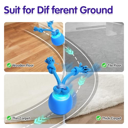 LAIKOU Korean Skin Care, Skin care set, Skin Care Kit Snail and Ginseng with Cleansing Gel, Toner, Eye Cream, Serum, Essence Cream 5pcs for Women Teen Girls Mom Daughter Mother's Day Birthday