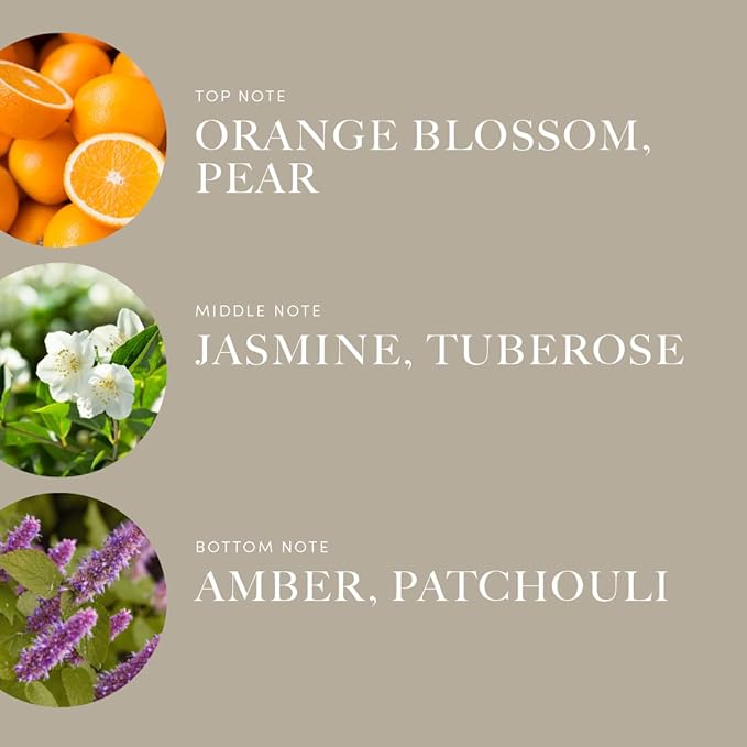 Aroma360 x Disney | So This is Love Pro-Pod Oil Blend | Disney Princess Cinderella Luxury Essential Diffuser Oil | Aromatherapy Scent Diffuser Oil | Pear, Jasmine and Patchouli 1.7 fl oz, 50 mL