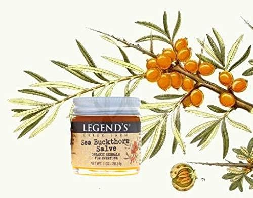 Legend's Creek Farm Herbal Salve - Healing Ointment with Sea Buckthorn Oil & St. John’s Wort - Natural Balm for Dry Skin & Skin Irritations - 1oz. Healing Balm Handmade in USA (Sea Buckthorn)