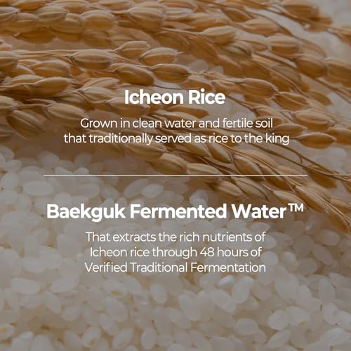 SKINFOOD Rice Daily Toner Pad, Korean Skincare Face Toner with 100% Cotton Pads for Glow Glass Skin, Natural Rice Water Milk, Hydrating, Exfoliating, Glowing, Vegan, 8.81 oz (60 Pads)