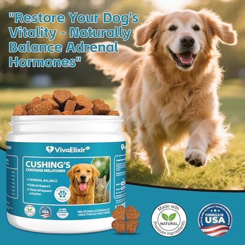 Epielle Complex Hyaluronic Acid + Peptides Serum 3 fl.oz, Deep Hydration and Plumping Formula for Dryness & Fine Lines, Anti-Aging Serum for Face, Korean Skin Care for Glass Skin