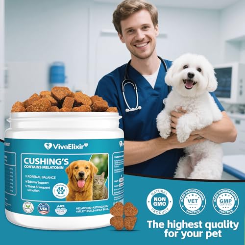 Epielle Complex Hyaluronic Acid + Peptides Serum 3 fl.oz, Deep Hydration and Plumping Formula for Dryness & Fine Lines, Anti-Aging Serum for Face, Korean Skin Care for Glass Skin