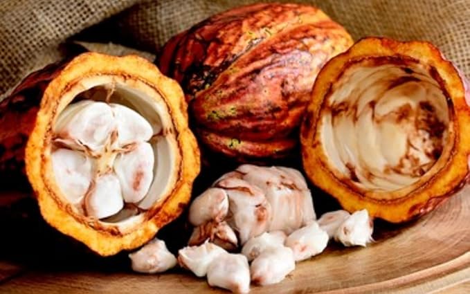 Cocoa Butter for Skin Care, Moisturizing