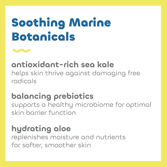 Seaweed Bath Co. Everyday Mineral SPF 40 Broad Spectrum Sunscreen Lotion, 3.4 Ounce, Sustainably Harvested Seaweed, Sea Kale, Prebiotics