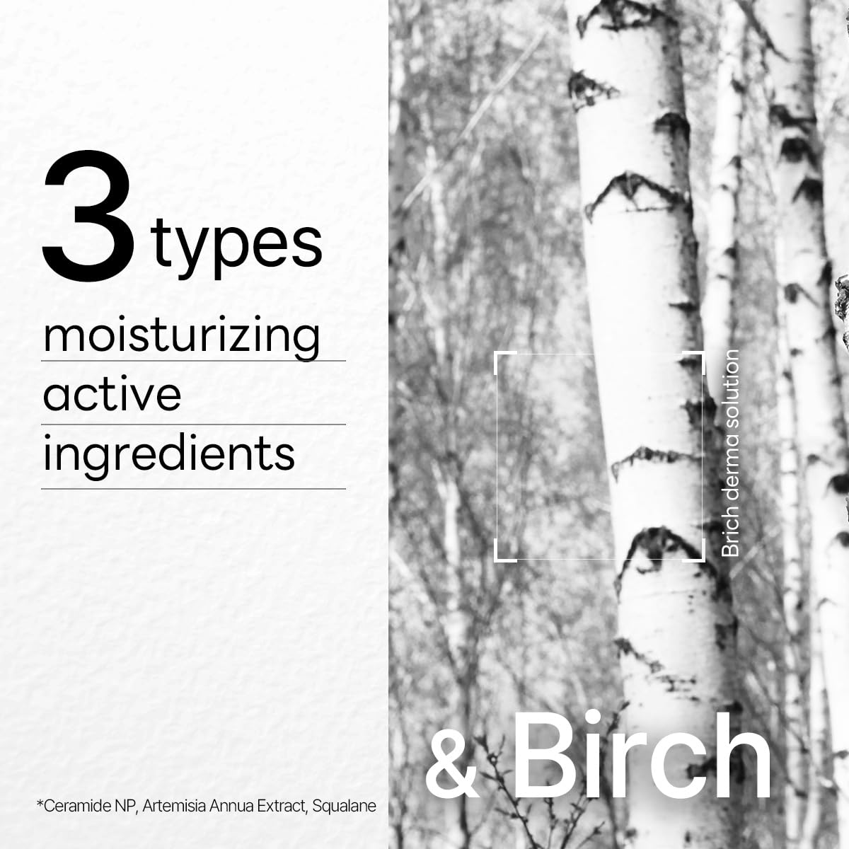 Mediheal Dermaplus Birch Mask (10 counts) - Daily Vegan Mask for Moisturizing Skin with Panthenol & Hyaluron, Korean Self Skin Care Sheet Mask