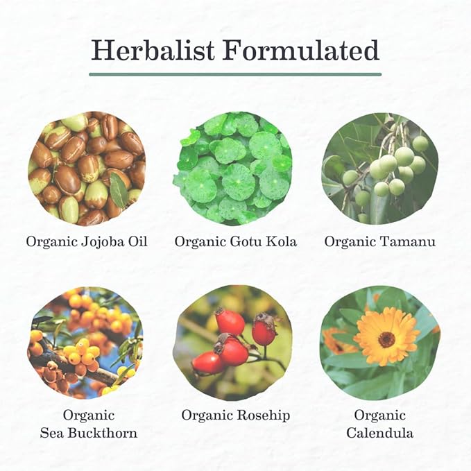 Earth Mama Organic Skin & Scar