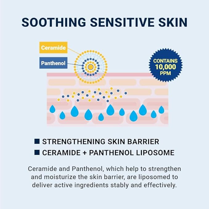 Derma B | CeraMD Repair Body Cream | Unscented Hydrating & Moisturizing Cream for Dry Skin | Relieves Itchiness | Fragrance Free with Ceramide & Panthenol | Korean Skin Care | 14.54 fl oz (430ml)