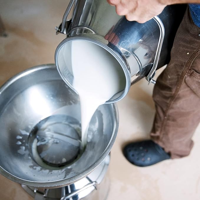 Little Seed Farm Organic Goat’s Milk Soap – 3 Pack of Grapefruit Lemon Facial and Body Soap Bars with Turmeric – Natural, Handmade and Cruelty Free – Balancing For Sensitive Skin, Net Wt. 4.75oz