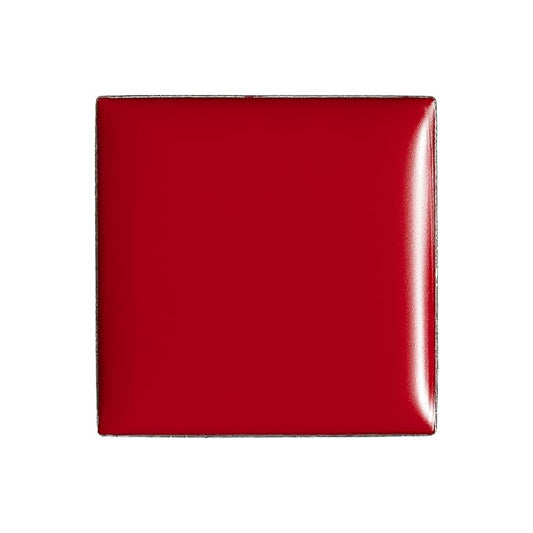 billion dollar brows Lip & Cheek Tint - Pigment