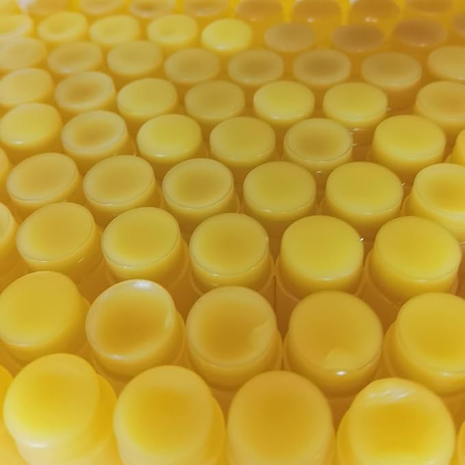 2PC Lip Balm Fade Dark Pigment