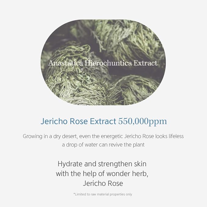 NACIFIC Hyal Booster Hydrating Set Toner