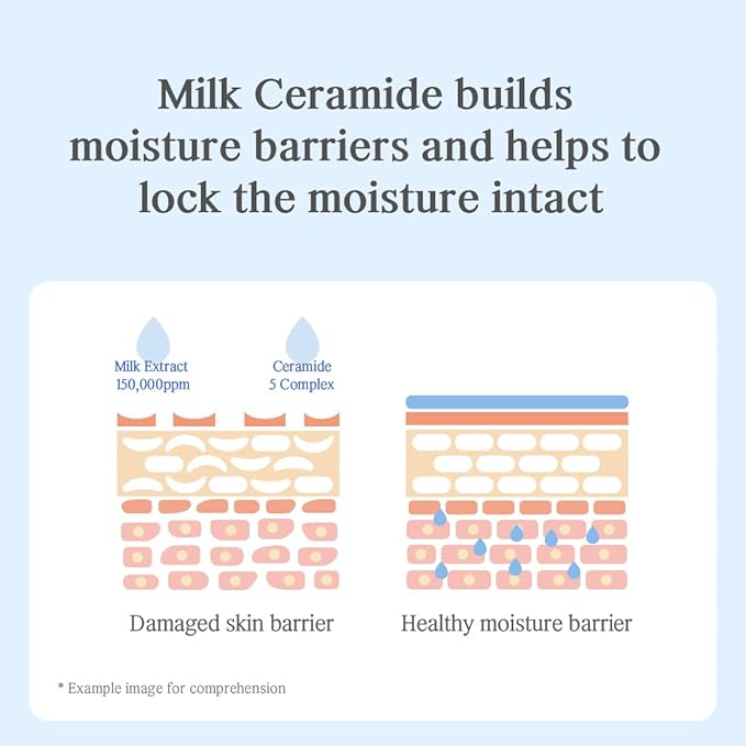NACIFIC Jeju Uyu Cream Facial Cream 1.69fl. oz. 50G with Jeju Milk Extract Ceramide 5 Complex Moisture Lasting Natural Ingredients Korean Skin Care