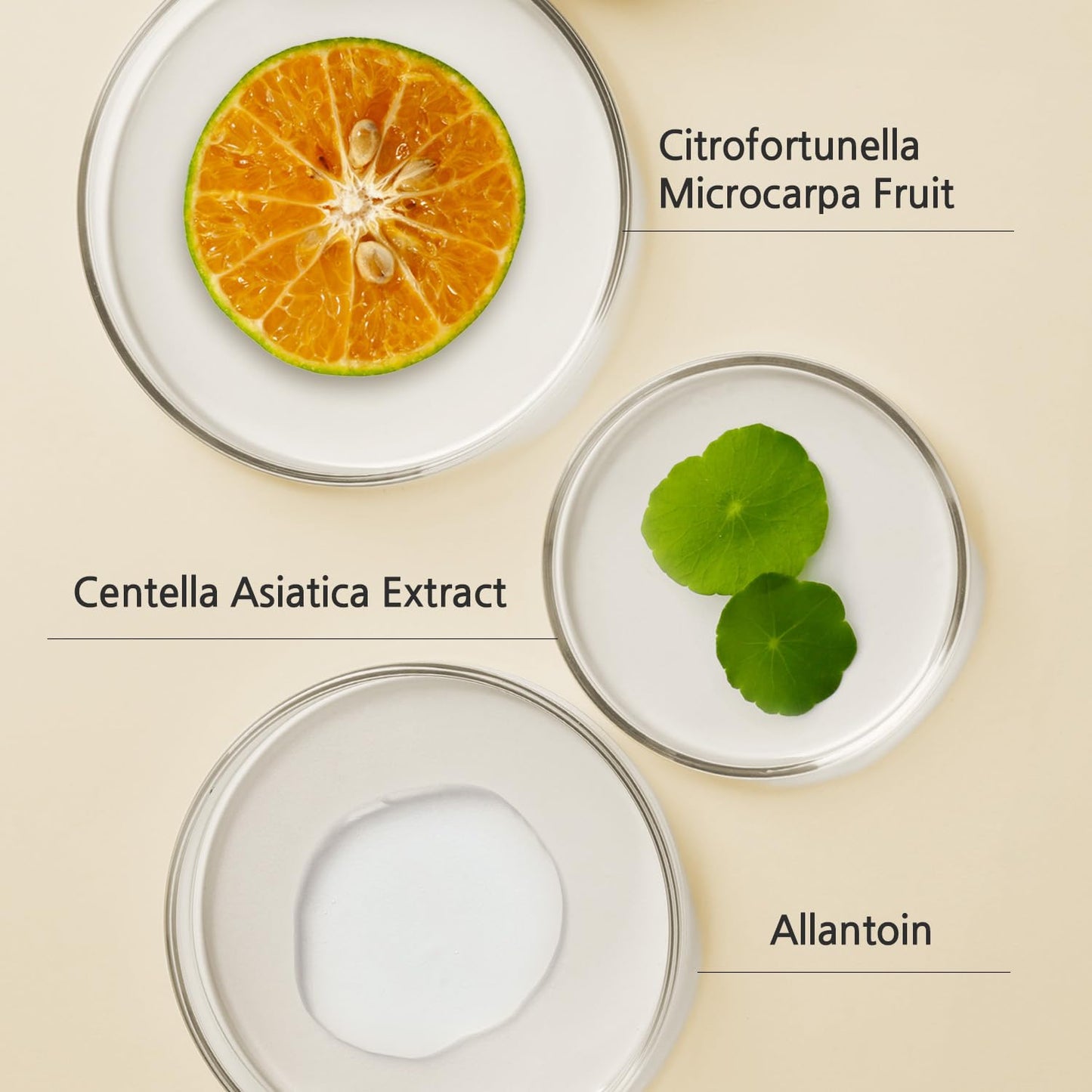 eyeNlip Calamansi Vita Cleansing Foam 4.23 fl oz - Revitalizing Cleanser with Calamansi Extract, Centella & Hyaluronic Acid for Gentle Daily Care, Korean Skincare