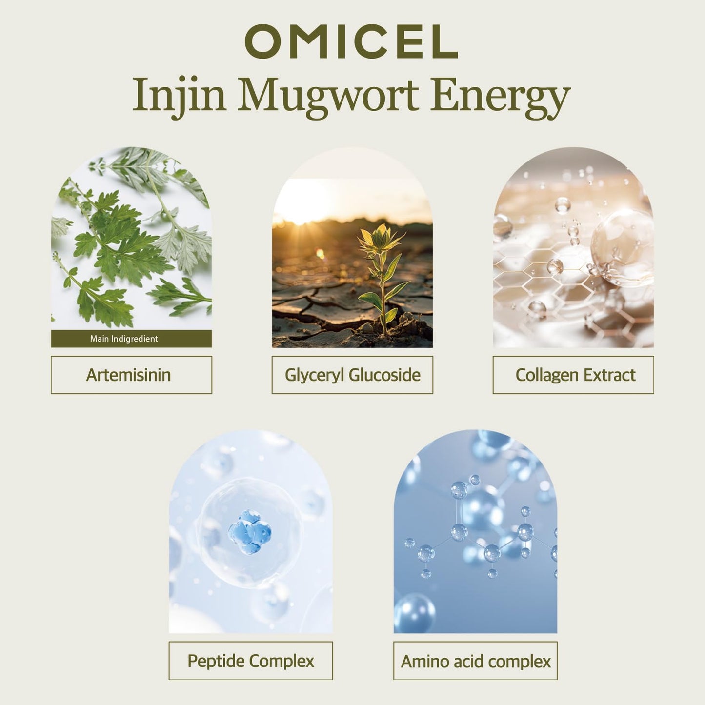 OMICEL INJIN Mugwort Daily Cream 50mL(1 Count) - Hydrating Korean Skincare Solution | Moisturizing Face & Body Cream with Candida Bombicola Ferment