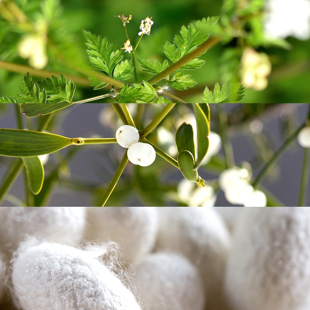 Mother's Day Gifts for Mom Skin Care Routine Kit for Women, Rose Essential Oil+Retinol+ Vitamin E, 10-Piece Complete Skin Care Set, Korean Skin Care Set, Birthday Gifts for Women