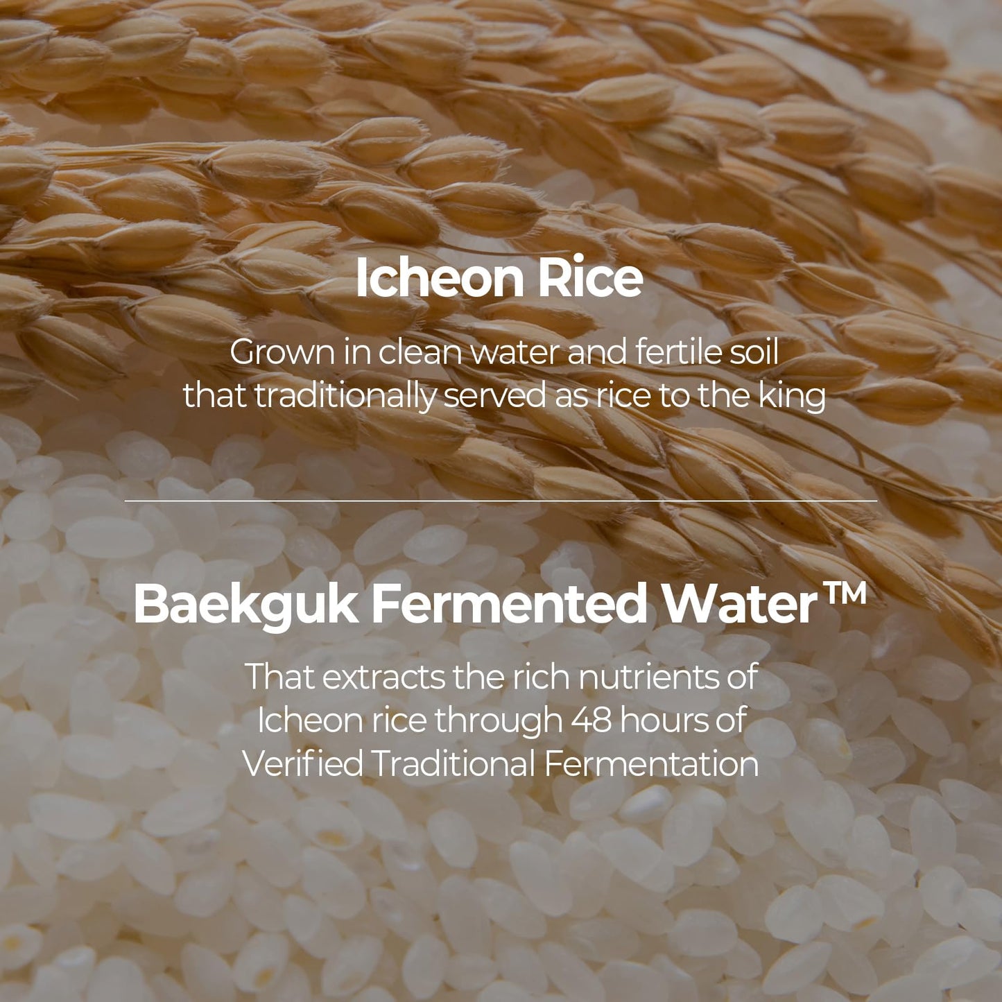 SKINFOOD Rice Skincare Set – Brightening & Hydrating Trio with Rice Daily Toner Pads, Rice Serum, and Rice Cream for Smooth, Glowing Skin