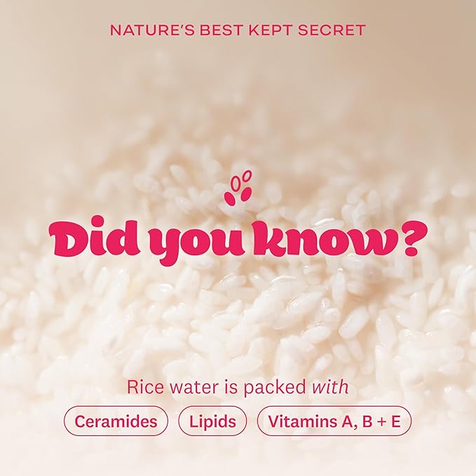 The Face Shop Rice Water Bright Foaming Facial Cleanser with Ceramide, Gentle Face Wash for Hydrating & Moisturizing, Vegan Face Cleanser, Makeup Remover, Korean Skin Care for All Skin Types, 300ml