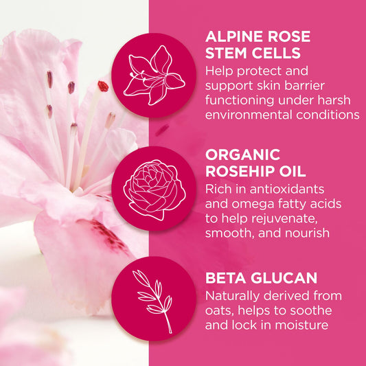 Andalou Naturals Mask 1000 ROSES, Overnight Sleeping Mask for Dry, Chapped Lips, Plumping, Hydrating & Soothing Balm with Alpine Rose Stem Cells, Vegan & Cruelty-Free, 0.42 O