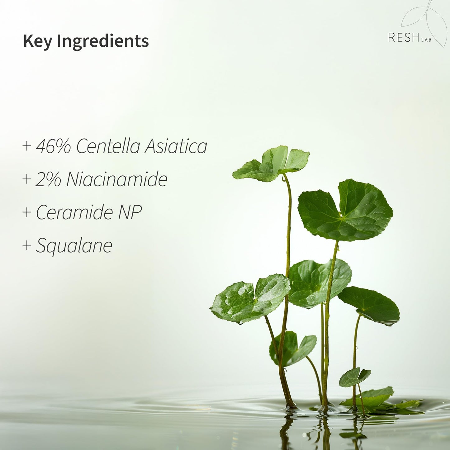 Rash Lab Cica Cream – Korean Centella Face Moisturizer for Sensitive Skin | Anti-Redness Soothing Repair Cream with Niacinamide & Ceramide | Lightweight Hydrating Daily Facial Moisturizer 50 ml