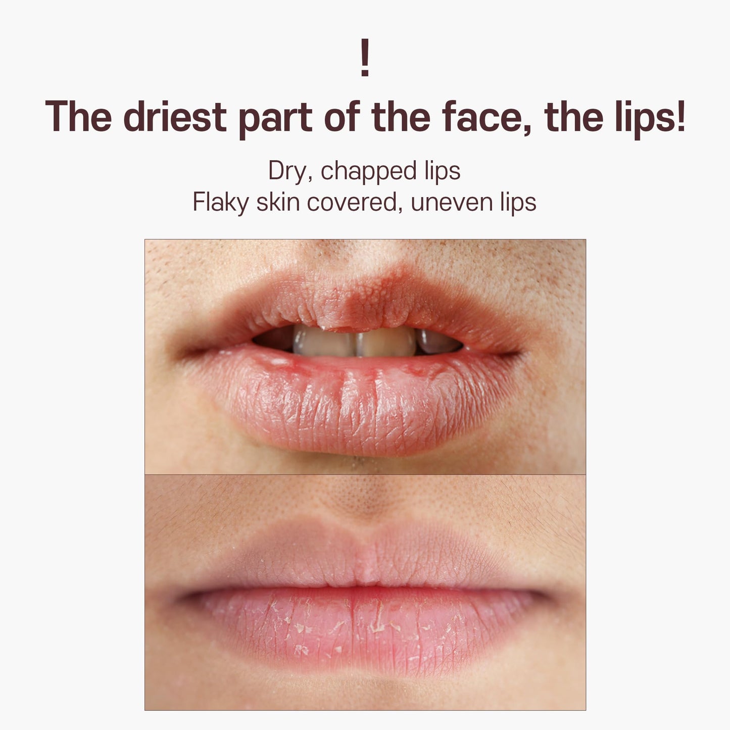 Korean Mini Lip Balm Hydrating Glow Lip Mask (Berry) 10g, 12hrs Long-lasting Overnight Moisture Butter for Women