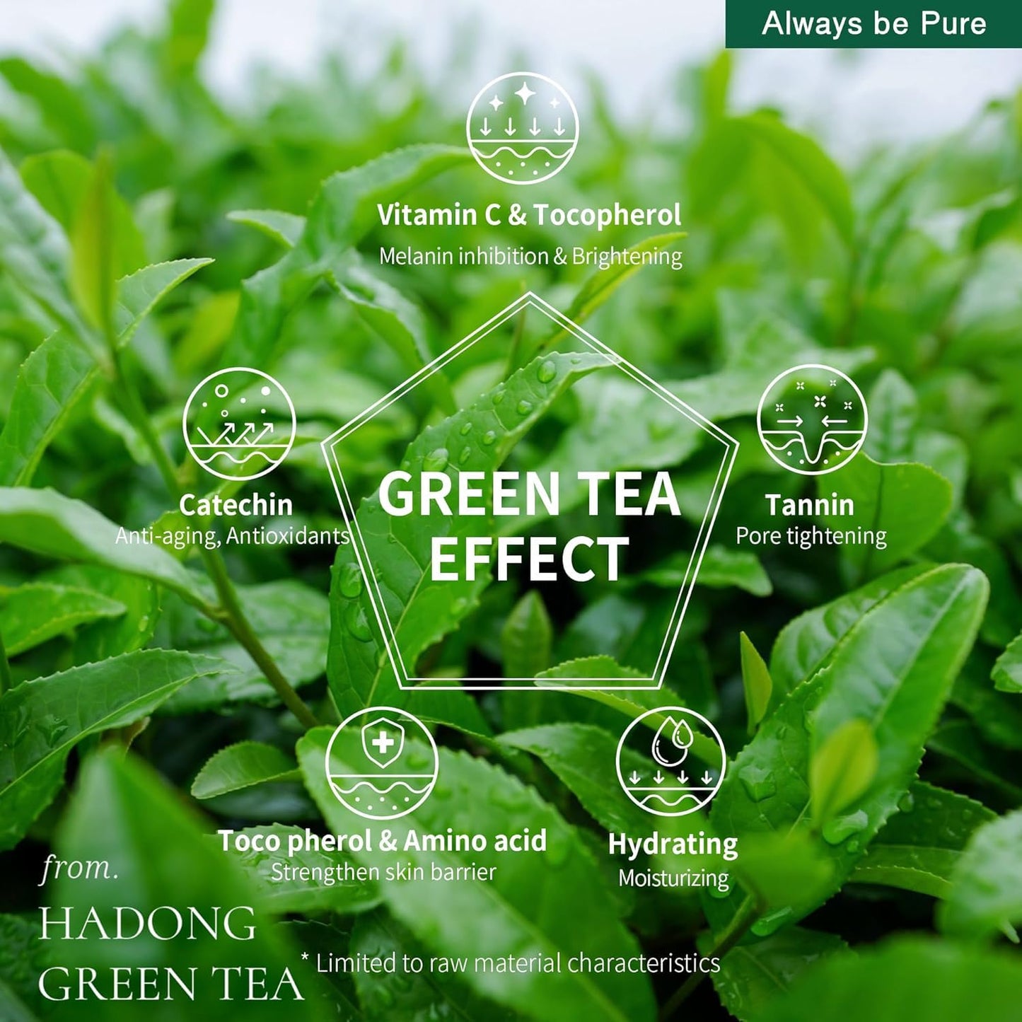 ALWAYS BE PURE Green Tea Sleeping Mask 75ml – Rich Moisture Night Mask, Hypoallergenic, Calms Redness, Deep Hydration for Sensitive Skin, Non-Sticky Korean Skincare